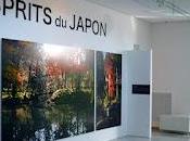 Japon Côte d'Azur expo "Esprits Japon" Nice