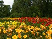 Parc floral Lodz, paysages Pologne