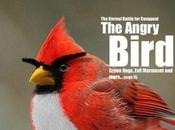 Coup coeur semaine: animaux loufoques, Angry bird National Geographic, chauve souris Batman Evil
