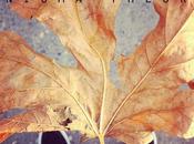 Young Automated Oceans Bees