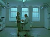 Ceux sont bien ensemble