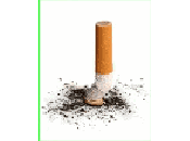 Respectons notre Mère Nature, changeons habitudes