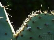 Fonds d'écran Septembre 2012 (avec sans calendrier)