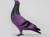 pigeons vivants peints bombe durant Biennale Venise