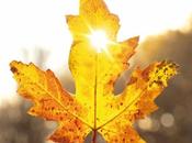 Nature Découvertes propose rentrée sous signe "nature buissonnière"