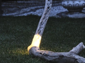 designer chevet bois mort