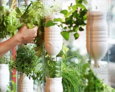 Faire pousser des légumes dans son appartement avec le système des Windowfarms