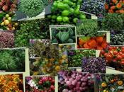 fruits graines votre fleuriste