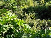 Plus haut, près l'eau, encore...