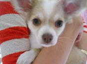 Plaid granny pour Ramon