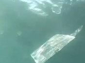 panneau solaire sous-marin