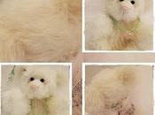 dimanche avec BIRTHDAY