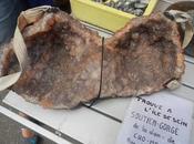 Clic-clac Fashion week