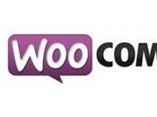 WooCommerce, WordPress e-Commerce