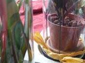 Comment mettre valeur bouture