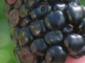 dépasse prévisions horizon dégagé