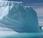 Banquise Antarctique record maximum absolu