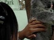 Pourquoi famille mérite