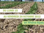 Rhône-Alpes jours pour découvrir l'agriculture biologique