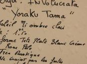 Hydrangea involucrata 'Yoraku Tama'