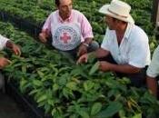 Journée mondiale l’alimentation 2012 rôle primordial petits producteurs