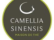 Salon Camellia Sinensis