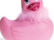 canard coquin Constitution