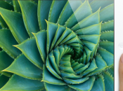 Premières prises main l’iPad mini