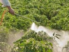 Santé pour Sénat, dangerosité pesticides sous-évaluée