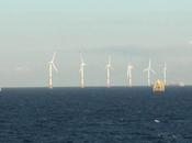 L’éolien offshore bénéfique marine