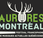Aurores Montréal, festival musiques actuelles québécoises
