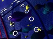 filet pêche remporte James Dyson Awards 2012