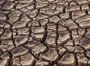 Faites vous plumer 11.11.11 pour "justice climatique"