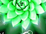 Encore nouveauté venue Hollande