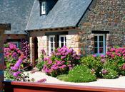 Balade Bretagne Bréhat