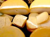 fromage probiotiques pour renforcer l'immunité naturelle sportifs