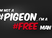 coques t-shirts Pigeon, Free