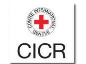 Budget CICR 2013 apporter bonne réponse moment