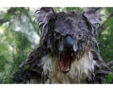Australie : La première ministre met en garde la population contre une invasion de zombies