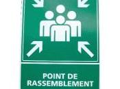 Assouline, petit serpent sournois