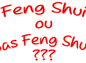 formation Feng Shui géniale... voilà maintenant Experte