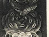 étagères Fernando ARRABAL