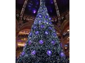 sapins Noël Hardglossy