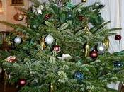 Dernière ligne droite avant jour