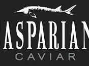 Caviar Casparian l’or noir venu d’Iran