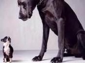 Coup chaud avant coup poing conseil municipal Montreuil