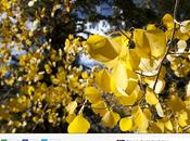 Dropbox s’offre Snapjoy