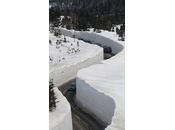 Quantité Fréquence