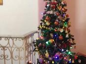 Cuba Noël compte propre"