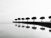 Sélection Darqroom Pixfan